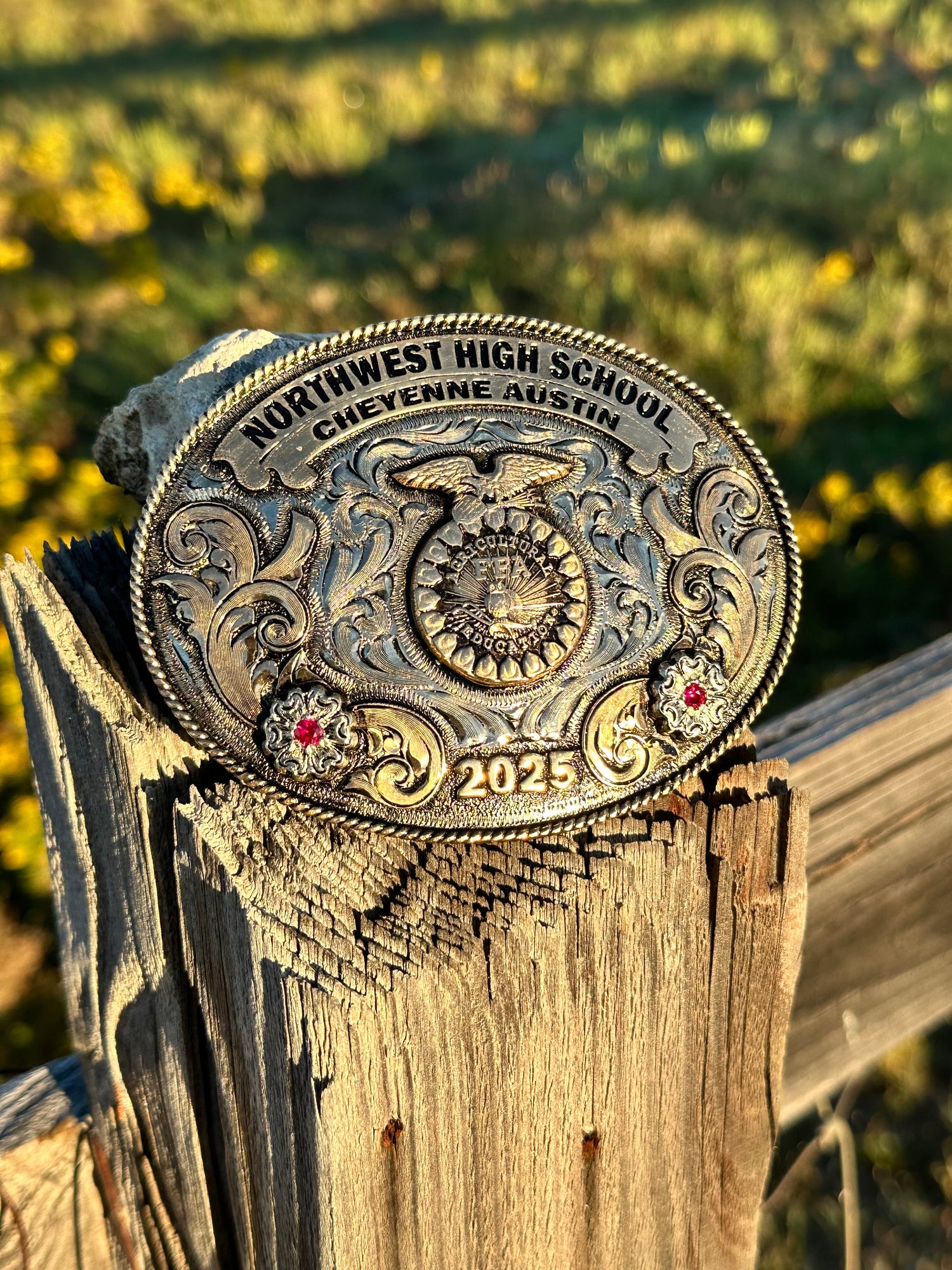 All Buckles